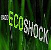 img/Radio-Ecoshock